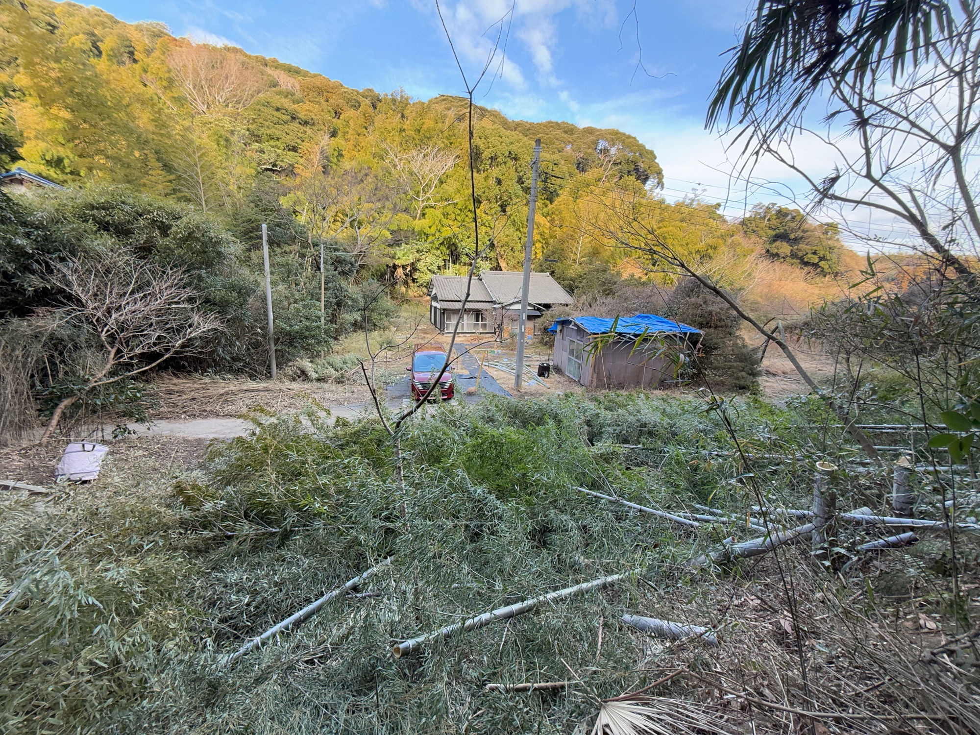 山 (ボロ小屋付き) を買って開拓しています