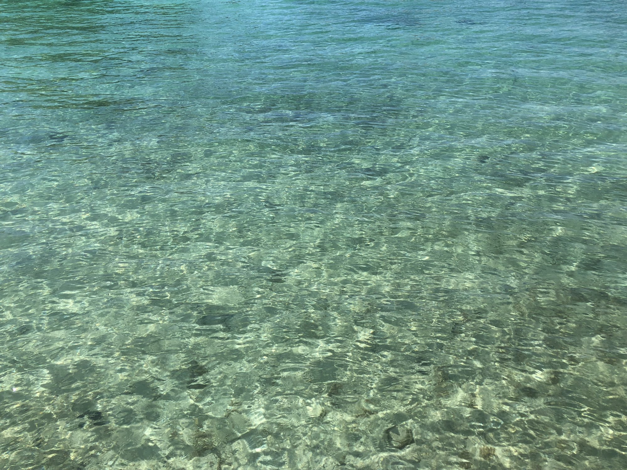 モーレア島の海水