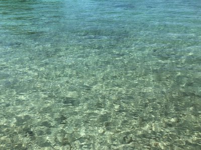 モーレア島の海水