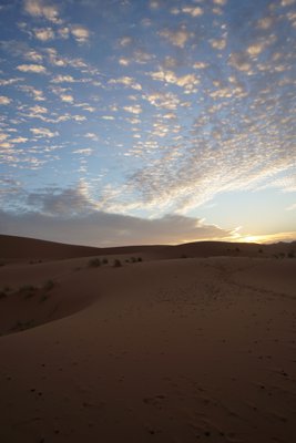 サハラ砂漠の朝